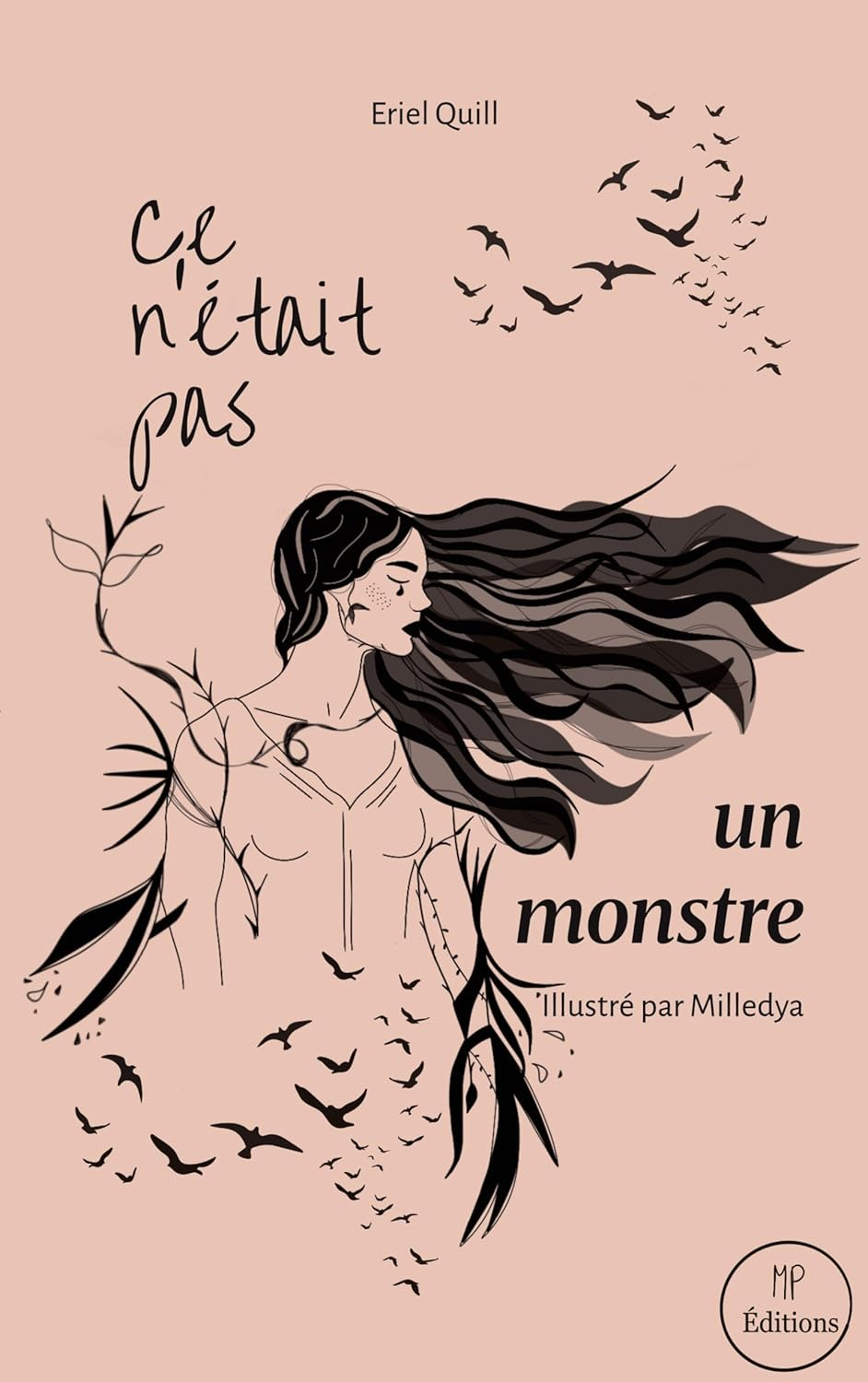 Ce n'était pas un monstre — Eriel Quill